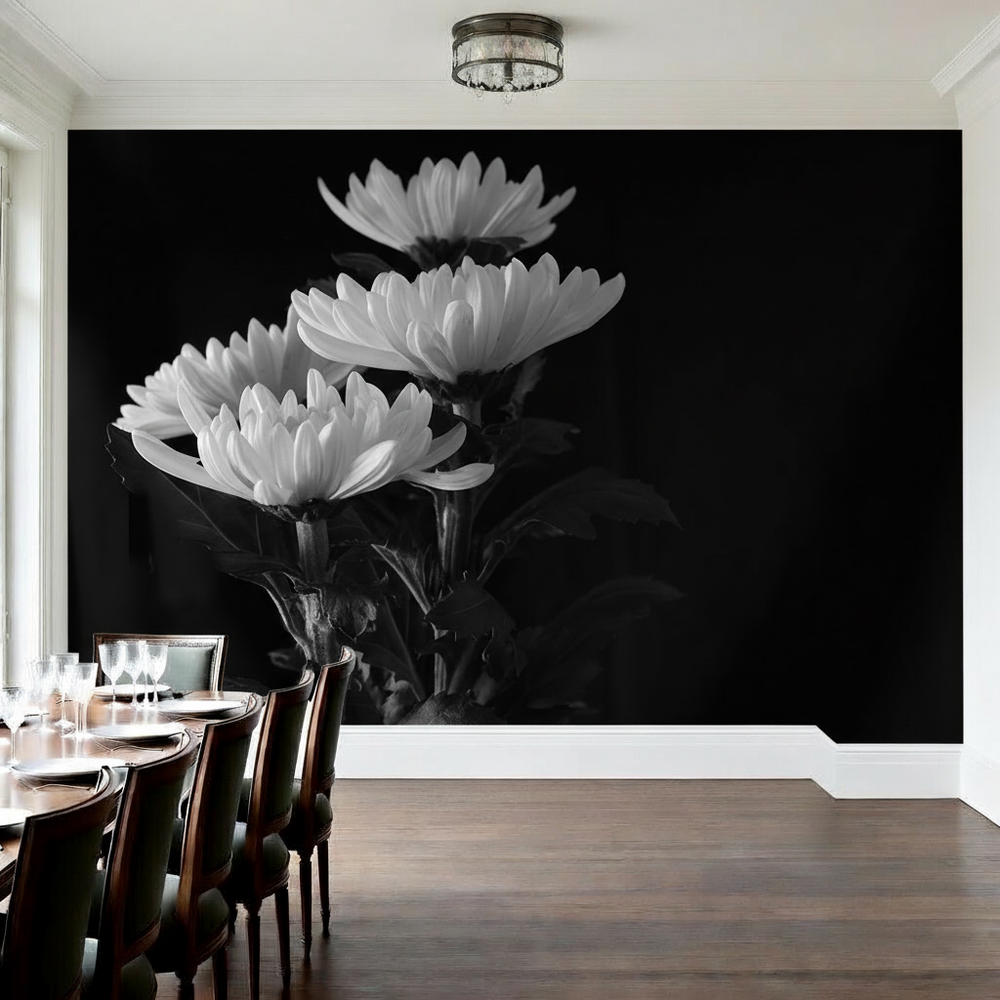 Petal Contrast